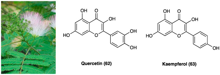 PMC10892999 – molecules-29-00815-f036