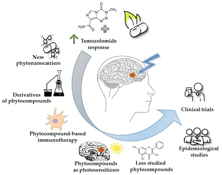 PMC11013944 – molecules-29-01682-f001
