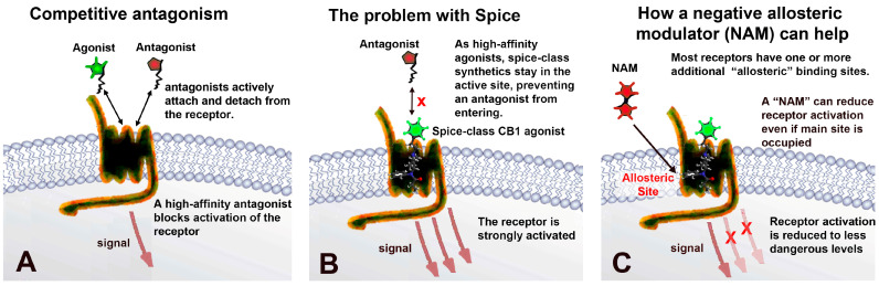 PMC11053441 – molecules-29-01881-f001