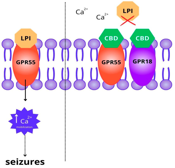 PMC11085483 – molecules-29-01981-f002
