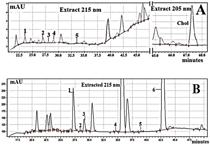 PMC11124110 – molecules-29-02165-f005
