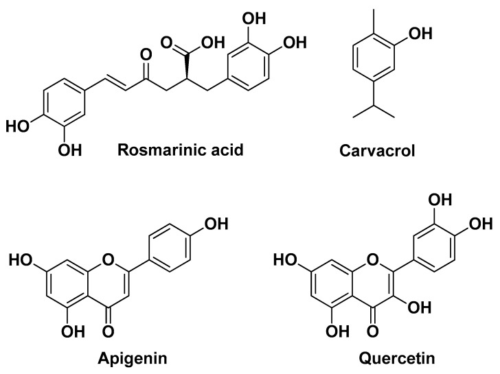 PMC11124055 – molecules-29-02394-f002