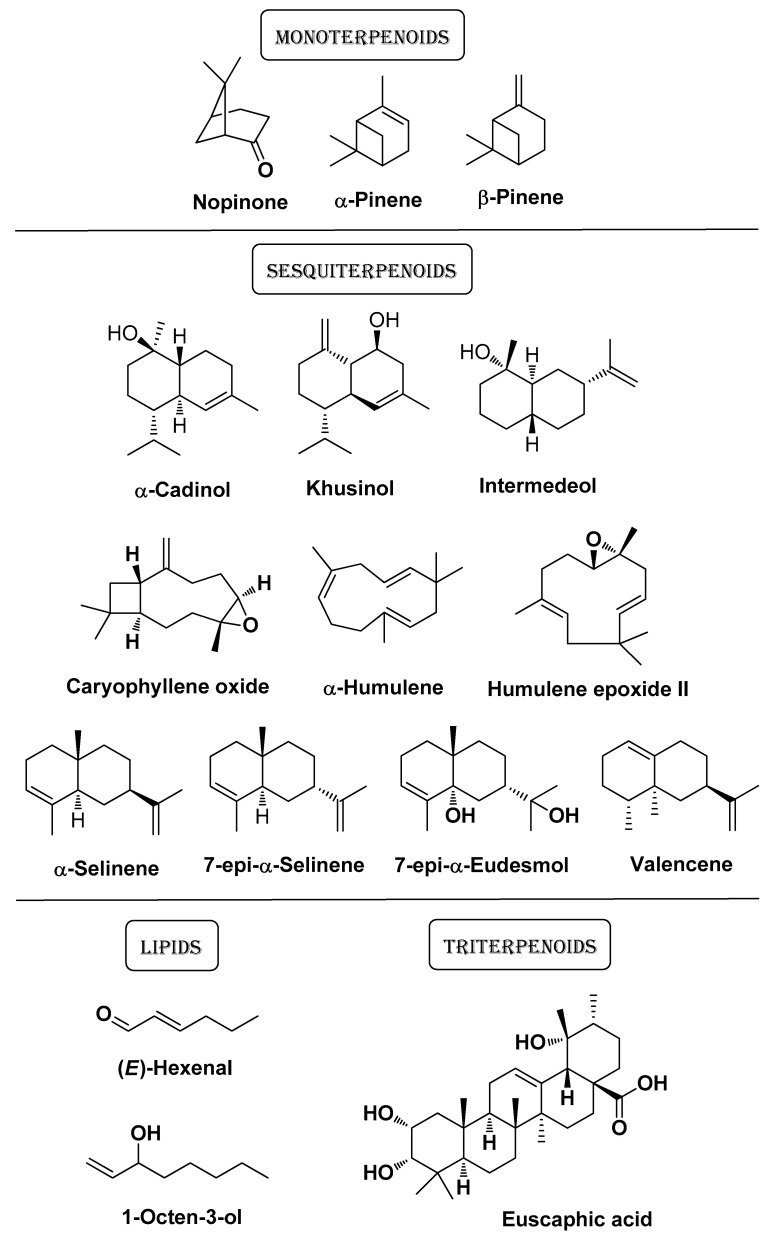 PMC11124055 – molecules-29-02394-f005