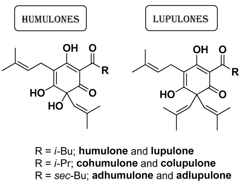 PMC11124055 – molecules-29-02394-f008