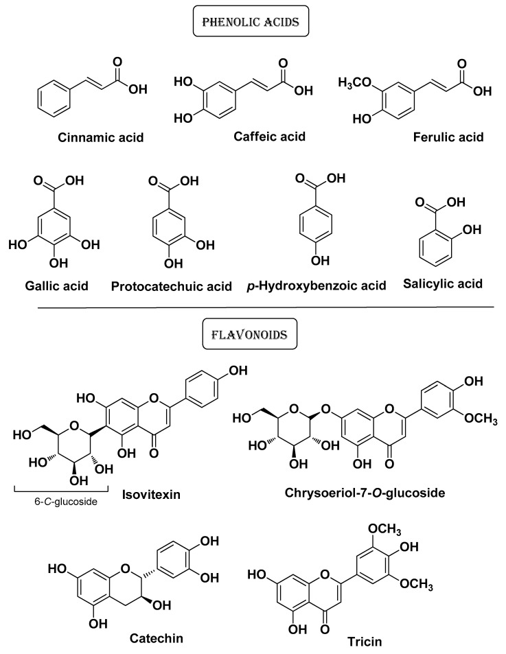 PMC11124055 – molecules-29-02394-f009