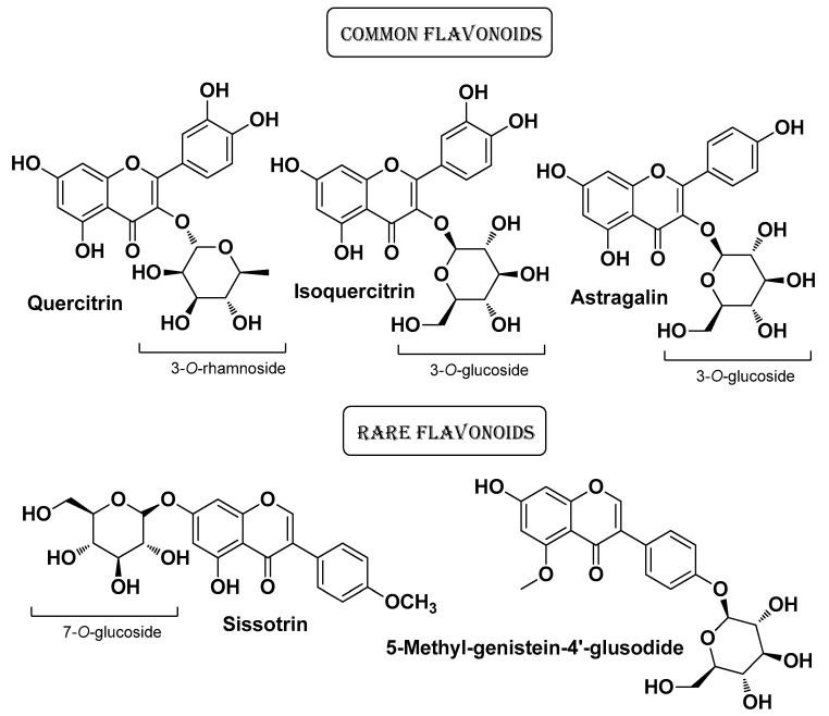 PMC11124055 – molecules-29-02394-f010
