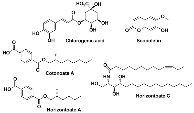 PMC11124055 – molecules-29-02394-f011