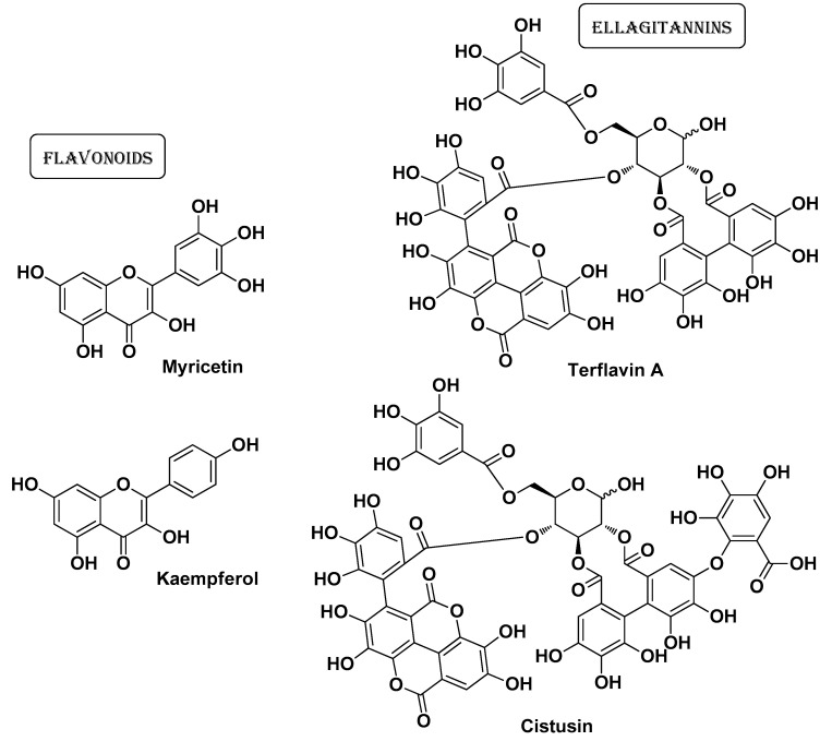 PMC11124055 – molecules-29-02394-f013