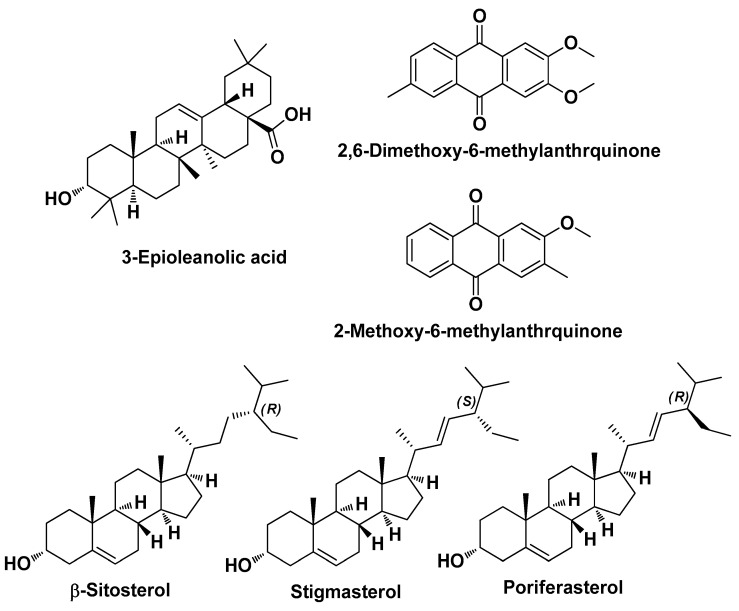 PMC11124055 – molecules-29-02394-f019