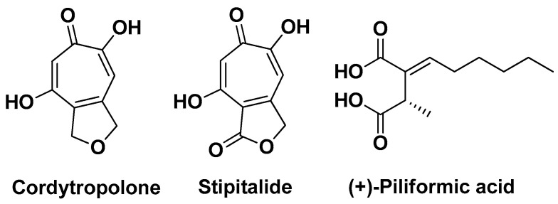 PMC11124055 – molecules-29-02394-f025