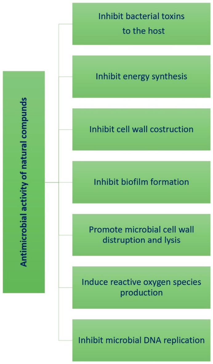 PMC11124055 – molecules-29-02394-f026