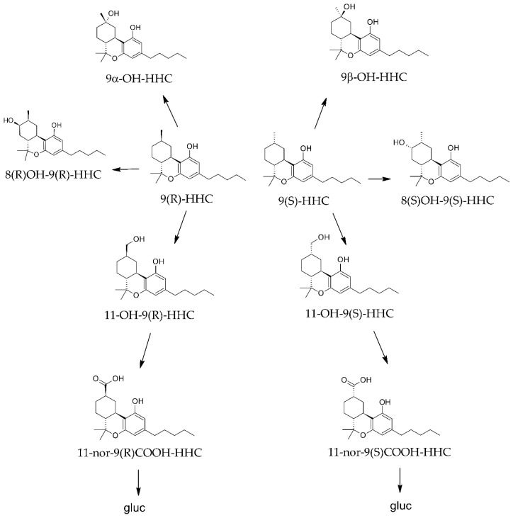 PMC11279433 – molecules-29-03440-f004