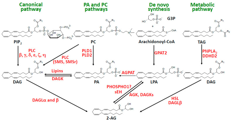 PMC11314389 – molecules-29-03694-f002