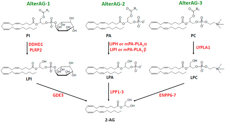 PMC11314389 – molecules-29-03694-f003