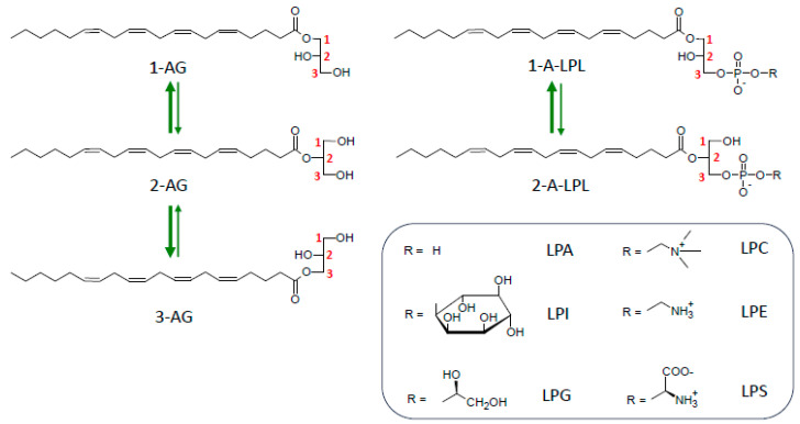 PMC11314389 – molecules-29-03694-f005