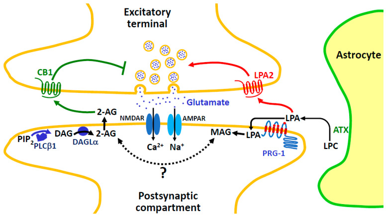 PMC11314389 – molecules-29-03694-f009