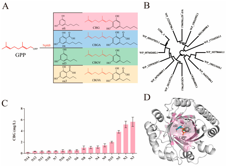 PMC11434003 – molecules-29-04454-f001