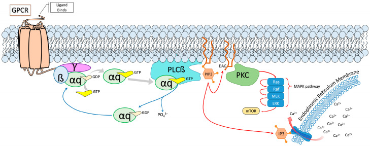 PMC11596899 – molecules-29-05279-f003
