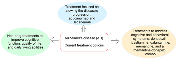 PMC11596391 – molecules-29-05314-f001