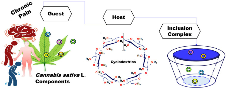 PMC11596380 – molecules-29-05340-f001