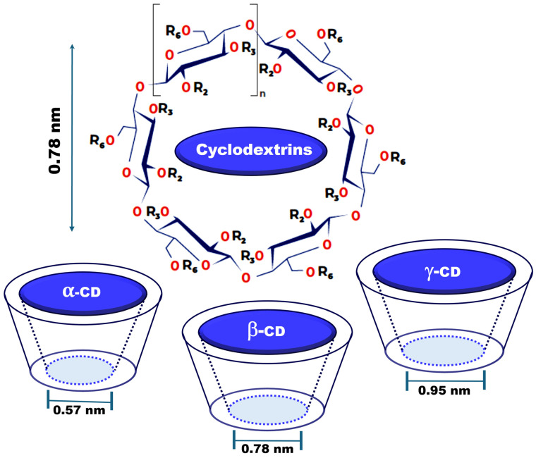 PMC11596380 – molecules-29-05340-f002