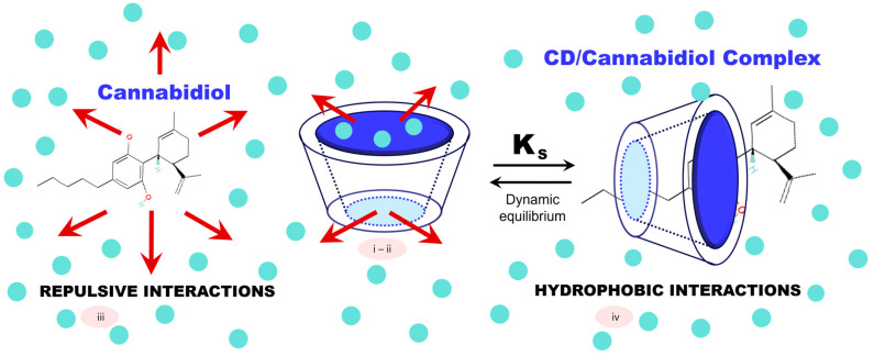 PMC11596380 – molecules-29-05340-f003
