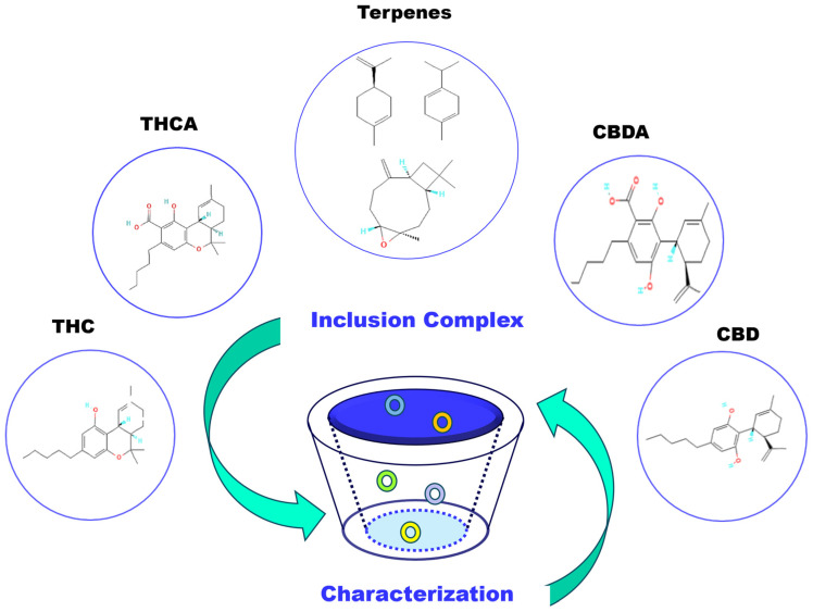 PMC11596380 – molecules-29-05340-f004