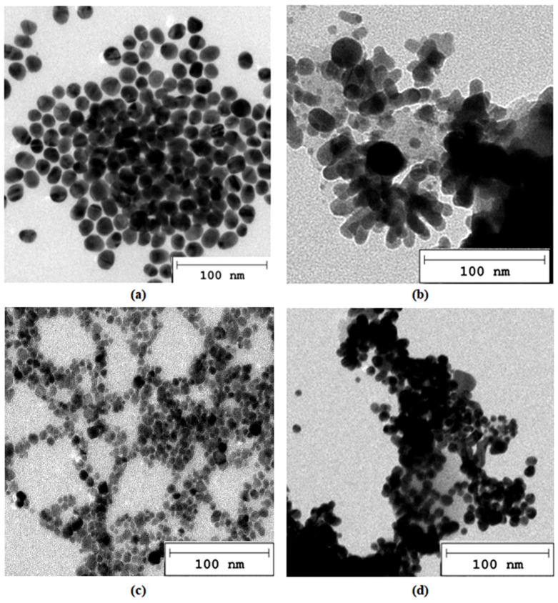 PMC11597449 – molecules-29-05376-f002