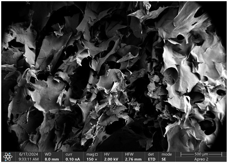PMC11597449 – molecules-29-05376-f016
