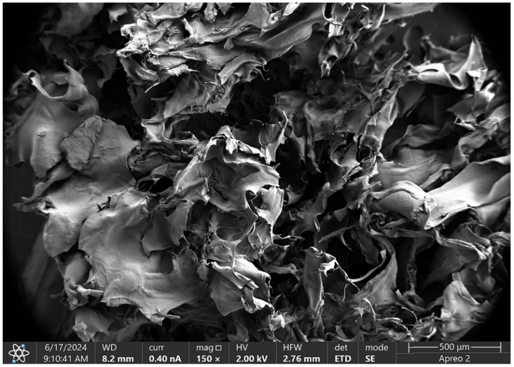 PMC11597449 – molecules-29-05376-f018