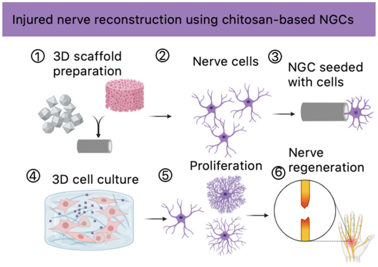 PMC11597449 – molecules-29-05376-f019