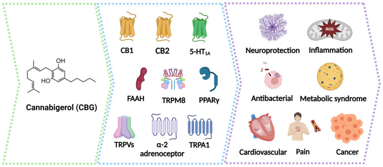 PMC11597810 – molecules-29-05471-f002
