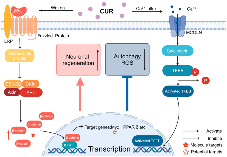 PMC11643850 – molecules-29-05700-f003