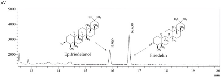 PMC11643499 – molecules-29-05792-f005