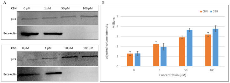PMC11676644 – molecules-29-05970-f006