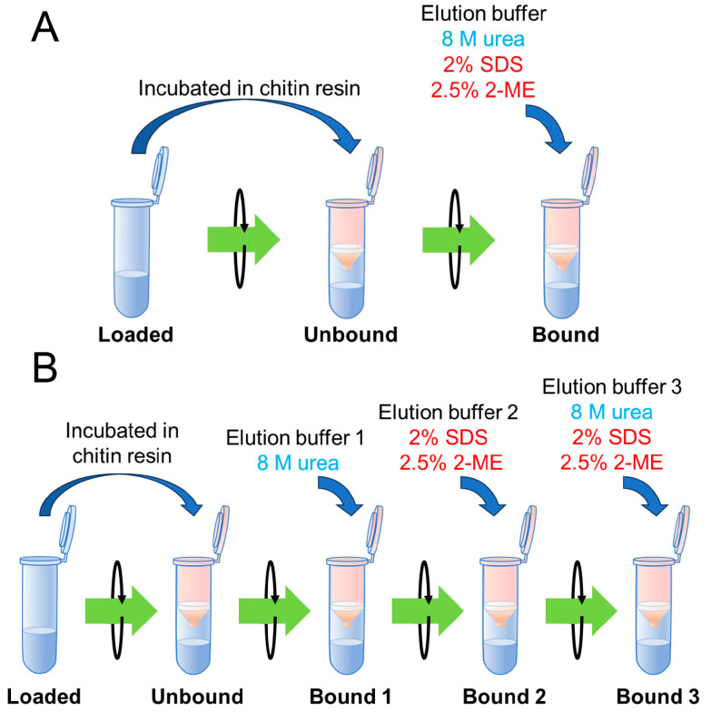 PMC11721955 – molecules-30-00019-f001