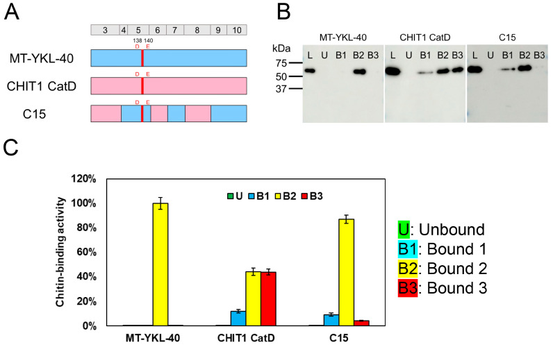 PMC11721955 – molecules-30-00019-f002