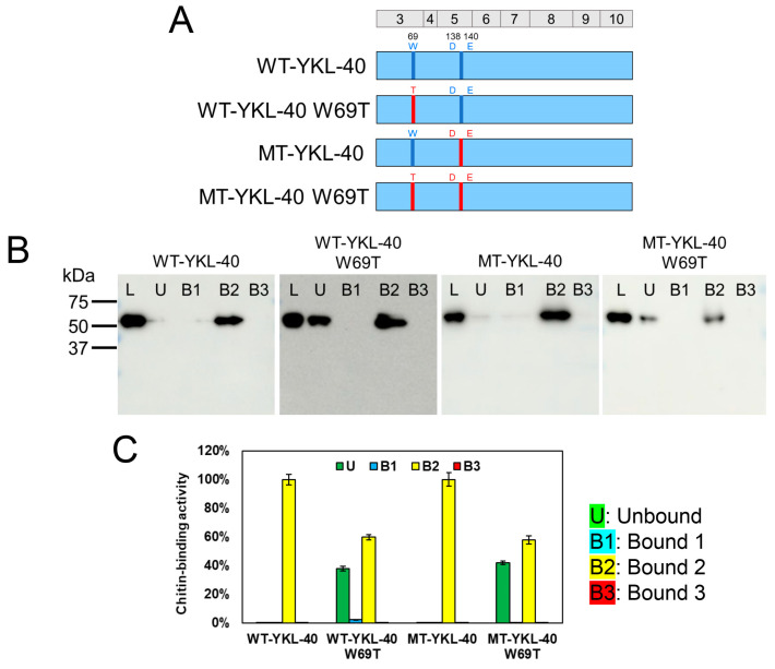 PMC11721955 – molecules-30-00019-f004