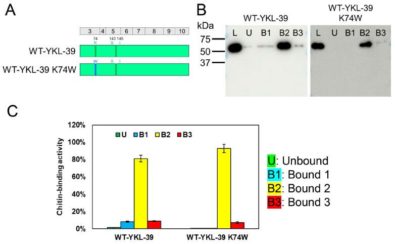 PMC11721955 – molecules-30-00019-f005