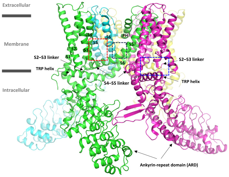 PMC11722135 – molecules-30-00100-f001