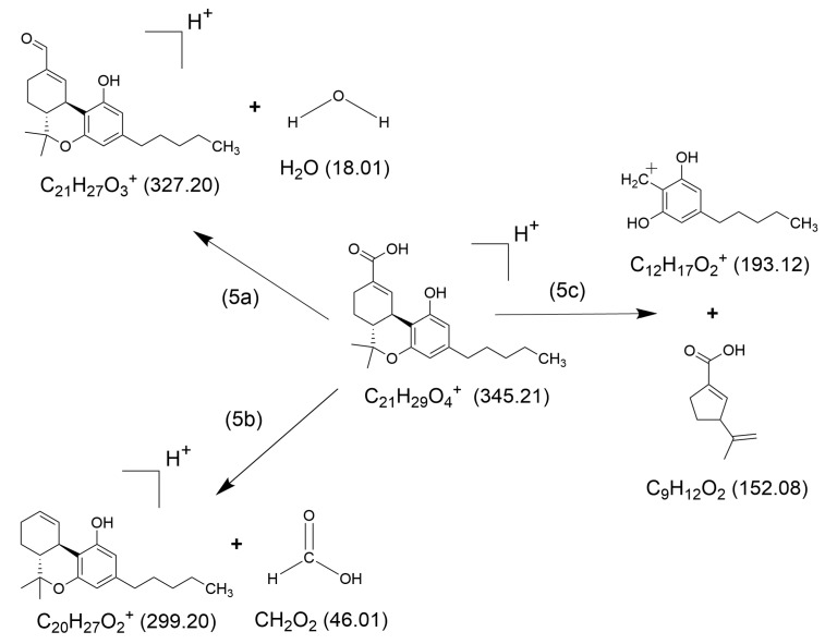 PMC11820595 – molecules-30-00717-f005