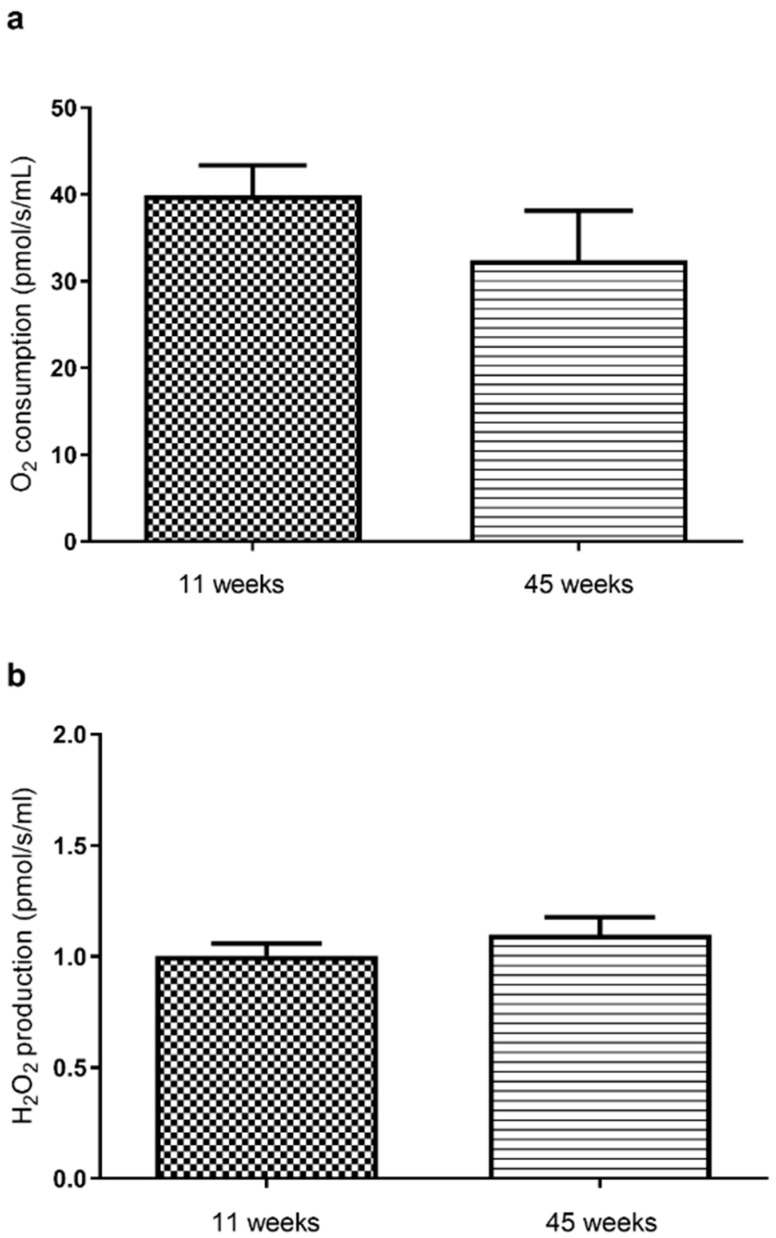 PMC11858324 – molecules-30-00918-f001