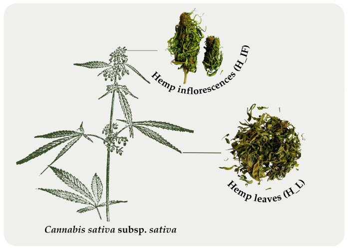 PMC12073161 – molecules-30-01947-f002