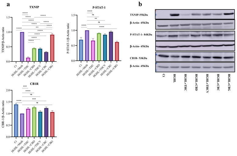 PMC12073157 – molecules-30-01991-f004