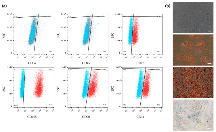 PMC12156936 – molecules-30-02367-f001