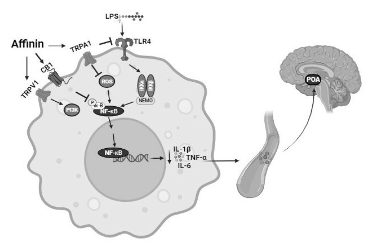 PMC12196383 – molecules-30-02554-f009