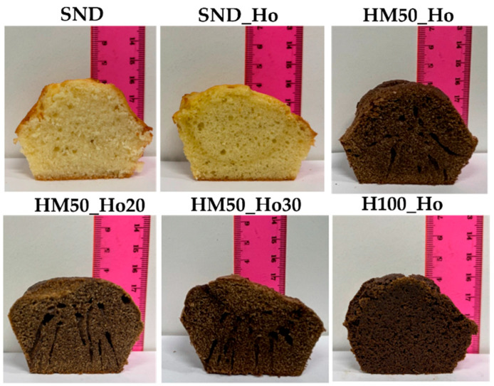 PMC12195748 – molecules-30-02665-f002