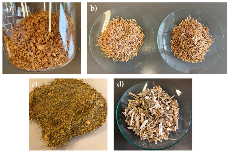 PMC12430255 – molecules-30-03588-f001