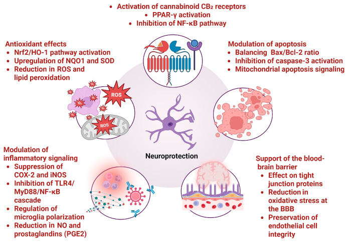 PMC12472692 – molecules-30-03702-f002