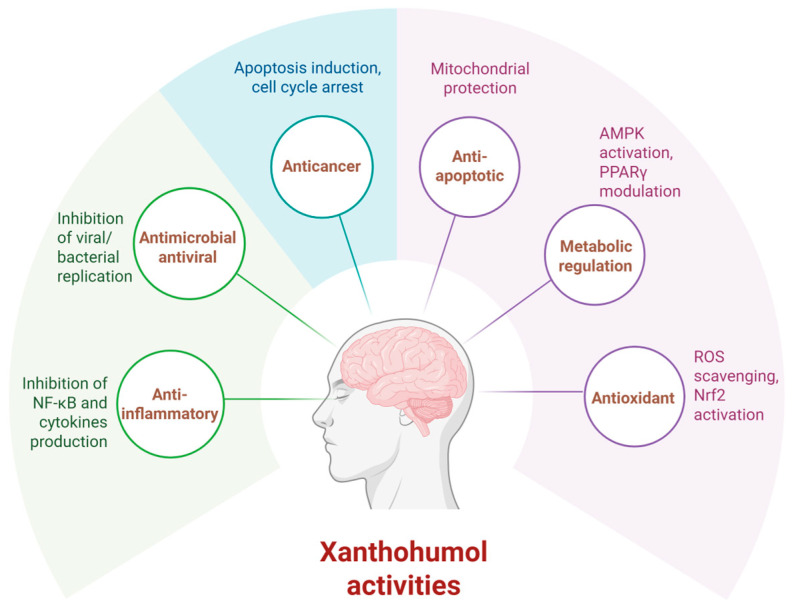 PMC12472692 – molecules-30-03702-f004